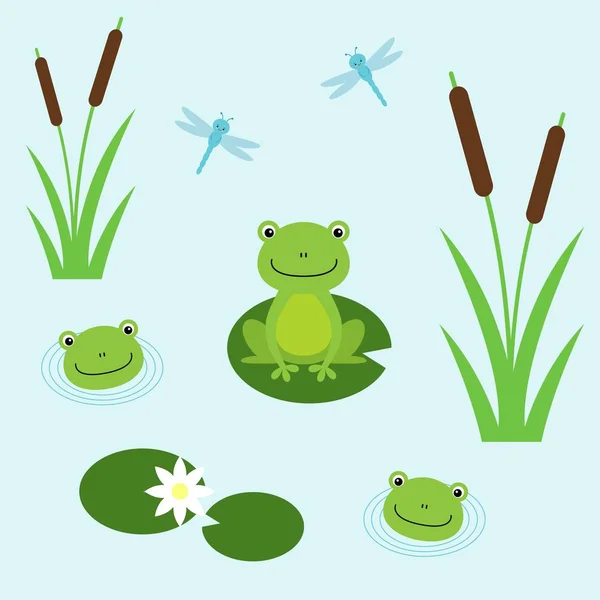 Ranas arborícolas con lirios y libélulas. Ilustración para niños. Estilo de diseño plano . — Vector de stock