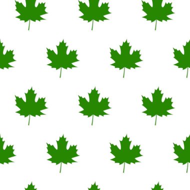 Beyaz arka planda yeşil akçaağaç yaprakları sonbahar seti,