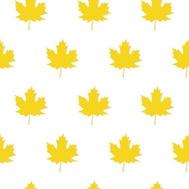 Beyaz Arka Plan Üzerinde Sarı Akçaağaç Yaprakları Sonbahar Seti,