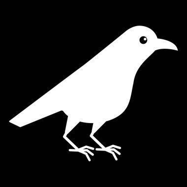 Beyaz kuzgun. Karga kuş siyah bir arka plan üzerinde izole.