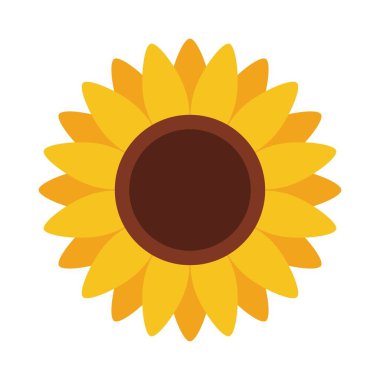 Beyaz arkaplanda düz şekilli ayçiçeği sevimli simgesi. Vektör İllüstrasyonu