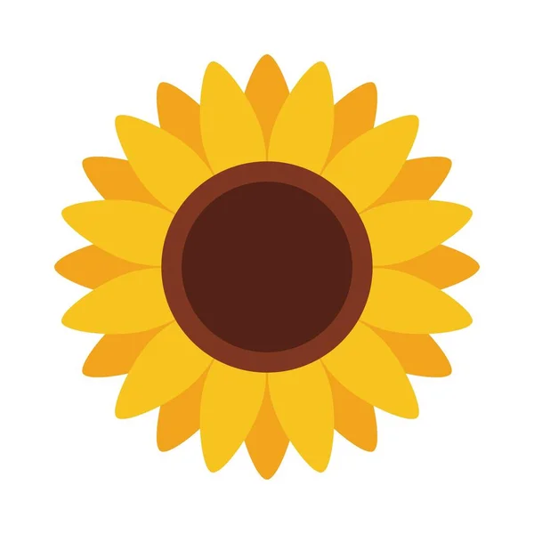 Solros söt ikon i platt stil på vit bakgrund. Vektor Illustration — Stock vektor