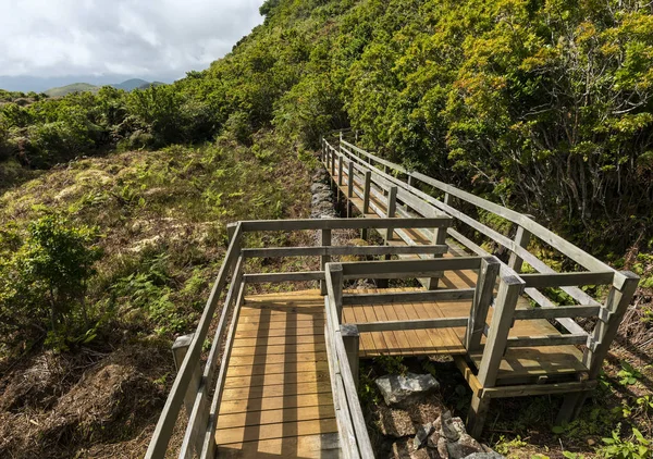 Vue de la piste avec clôtures en bois sur Fumaroles, Furnas de Enxofre, Terceira, Açores, Portugal . — Photo