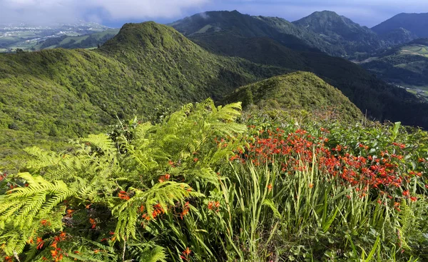 Zielony krajobraz na szczycie Miradouro do Salto do Cavalo w Sao Miguel, Azory, Portugalia. — Zdjęcie stockowe