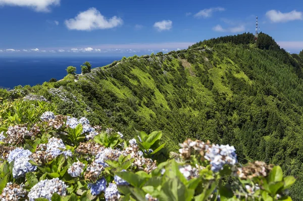 Pico da Barrosa, Sao Miguel, Azory. — Zdjęcie stockowe