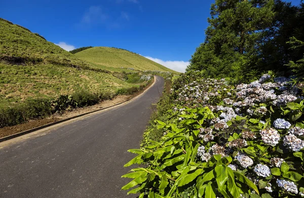 Landscape road in Sao Miguel island, Azores, Portugal. — Stock Photo, Image