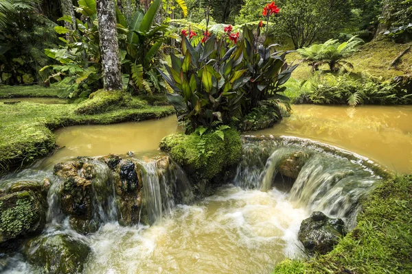 Flusso caldo nel Parco Terra Nostra, Isole Azzorre. Portogallo . — Foto Stock