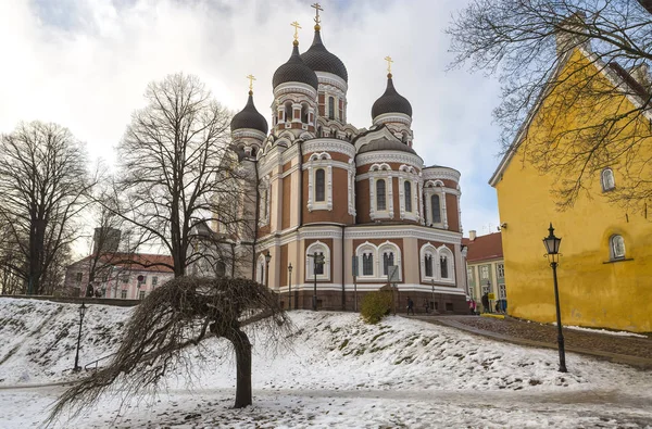 Alexander Nevsky katedry w Tallinie w zimie, Estonia. — Zdjęcie stockowe