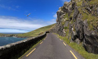 Dingle Yarımadası'nda Slea Head Tek Track Coast Road, İrlanda.