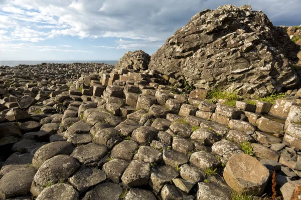 Giant's Causeway, Antrim, Irlanda del Nord — Foto Stock