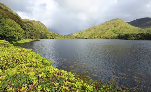 Pohoří Connemara, jak bylo spatáno v opatství fromkylemore. — Stock fotografie