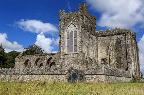 Tintern Abbey fue una abadía cisterciense ubicada en la península de Hook, Condado de Wexford, Irlanda. . —  Fotos de Stock