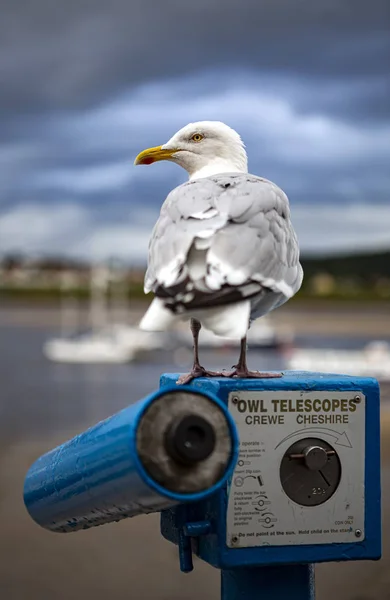 Conwy, Walia-16 sierpnia 2019: Conwy port lornetka i morze — Zdjęcie stockowe