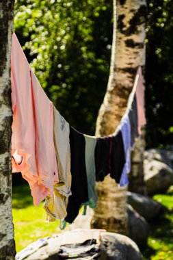 Güneşli bir günde el yıkamadan sonra iki ağacın arasına asılmış farklı renkte kıyafetler..