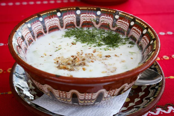 Sopa Nacional Búlgara Catador Sopa Fría Con Los Pepinos Las Imágenes de stock libres de derechos