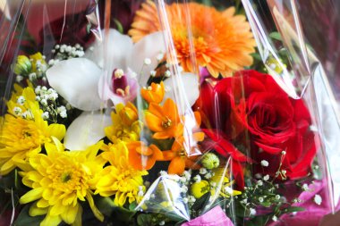 Özel buket çeşitli renk arasından. Şeffaf bir teflon Paketli. Bir hediye ile bir tasarım.