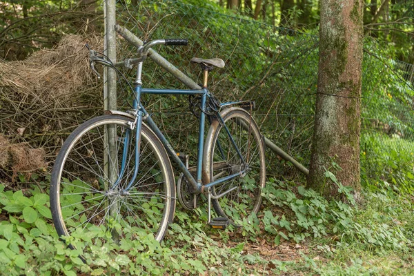 Stare Rowerowe Męskie Zamykany Ogrodzenie Lesie — Zdjęcie stockowe