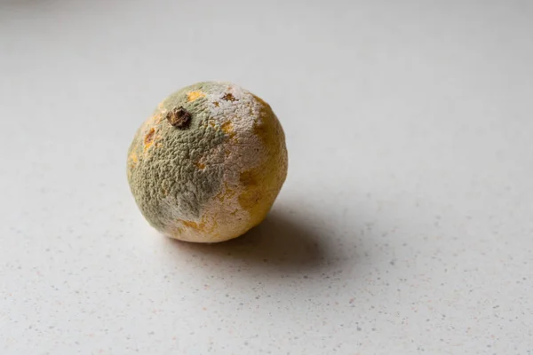 Moho Sobre Limón Comida Estropeada Comestible Estampa Opcional —  Fotos de Stock