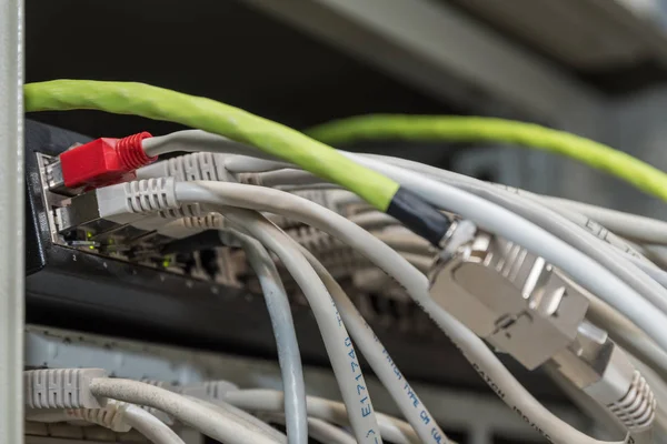 Tecnologia Rede Com Conexões Para Roteadores Lan Para Cabos Rj45 — Fotografia de Stock