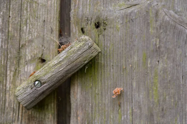 Vieille Porte Rustique Bois Une Grange Avec Poignée Origniellem Gros — Photo