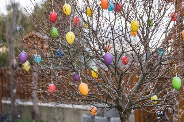 Colorful easter eggs on a tree — Stock Photo, Image