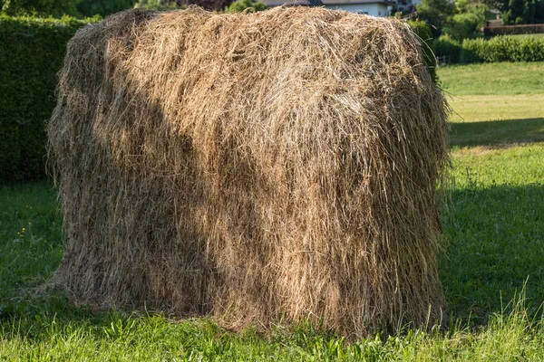 Сельский ручной сенокос — стоковое фото