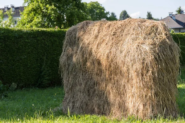 Bonde höstack-hö skörd — Stockfoto