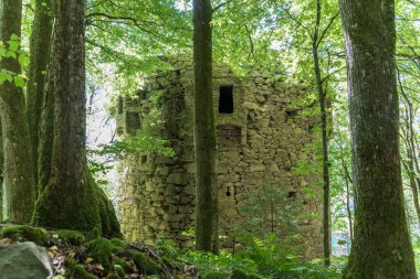 Hofkirchen yakınlarındaki Rannatal 'da Falkenstein harabesi, Avusturya kalesi harabesi.