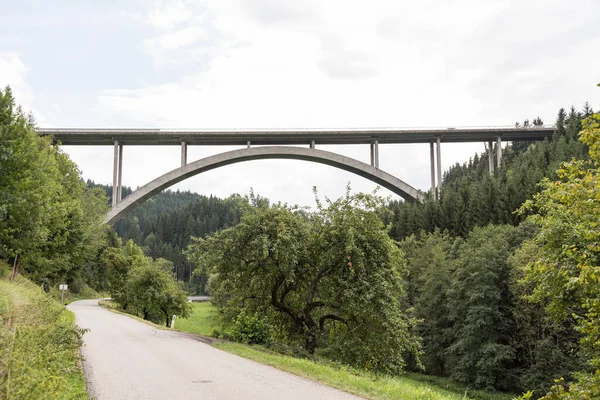 Bridge Middle Green Arch Bridge Rural Surroundings Forest — Stock Photo, Image