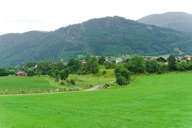 Norveç 'te Vik - cennet ve doğal fiyort manzarası, İskandinavya