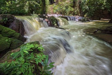 Şelale milli parkta, portre, Tayland, Thailand, Krabi, yağmur yağmur ormanları, yağmur mevsimi