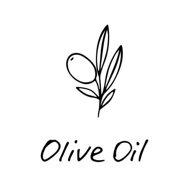Zeytinyağı. Kozmetik malzeme. Cilt bakımı ve sağlık için besin yağı. Elle çizilmiş zeytin ve el yazısı simgesi. Vektör illüstrasyonu