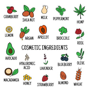 El yapımı bitkiler bitkiler sebze yağları. Kozmetik malzemeleri hazır. Simgelerin vektör koleksiyonu.