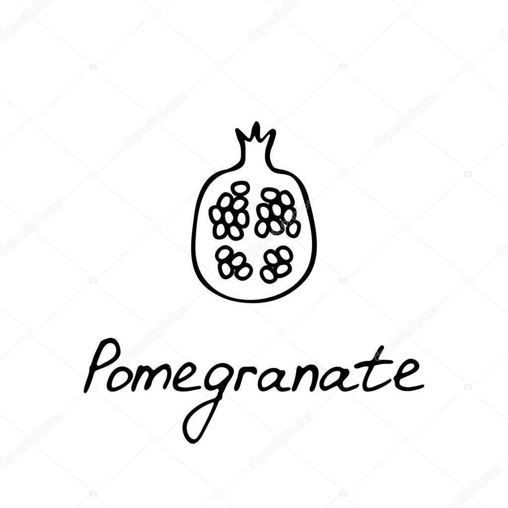 Pomegranate hand drawn icon. Garnet logo for print and web. Vector illustration