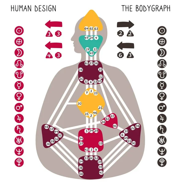 Organigramme Conception Humaine Neuf Centres Énergie Colorés Planètes Variables Graphique — Image vectorielle