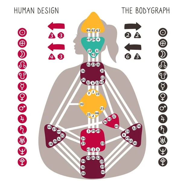 Людський Дизайн Bodygraph Діаграми Дев Ять Кольорових Енергетичних Центрів Планет — стоковий вектор