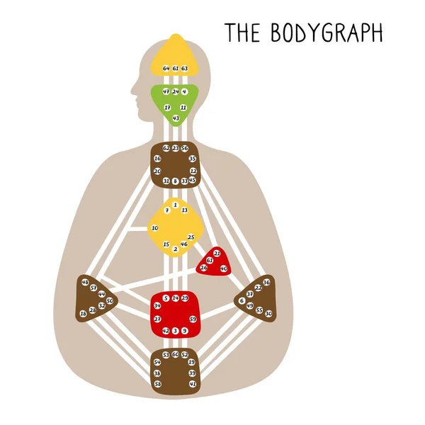 Emberi Dizájn Bodygraph Kilenc Színes Energiaközpont Kézzel Rajzolt Grafika — Stock Vector