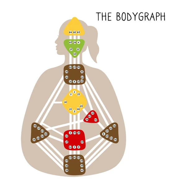 Bodygraph Lidského Designu Devět Barevných Energetických Center Ručně Kreslená Grafika — Stockový vektor