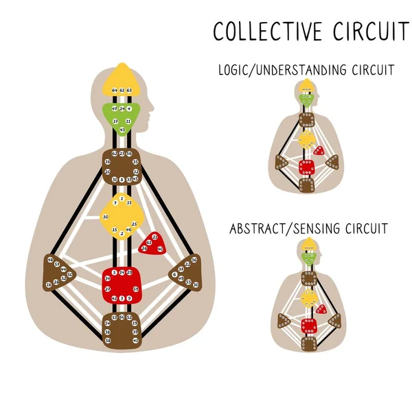 Circulation Collective Bodygraph Conception Humaine Conception Diagramme Corporel Dessiné Main — Image vectorielle