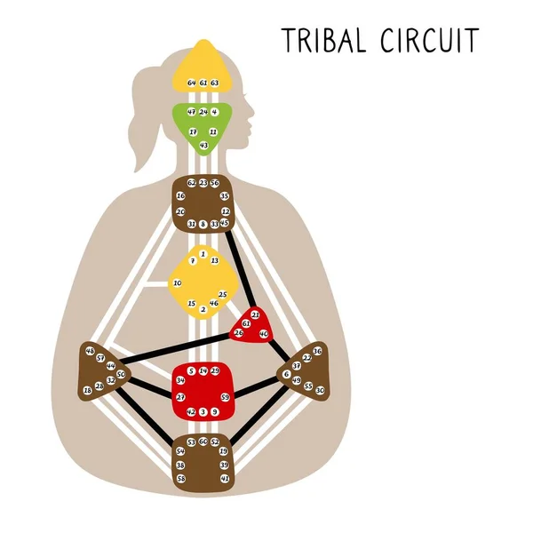 Circuito Tribale Disegno Umano Bodygraph Disegno Grafico Del Corpo Disegnato — Vettoriale Stock