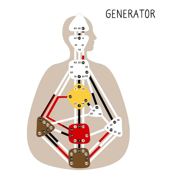 Generator Human Design Bodygraph Nio Färgade Energicentra Handritad Grafik — Stock vektor