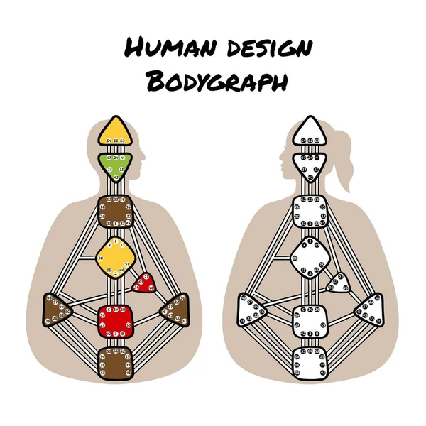 Human Design Körperdiagramm Design Vektorisolierte Illustration Neun Energiezentren — Stockvektor