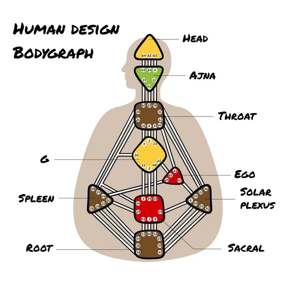 Neun Energiezentren Human Design Diagramm Kopf Ajna Kehle Ego Solarplexus — Stockvektor