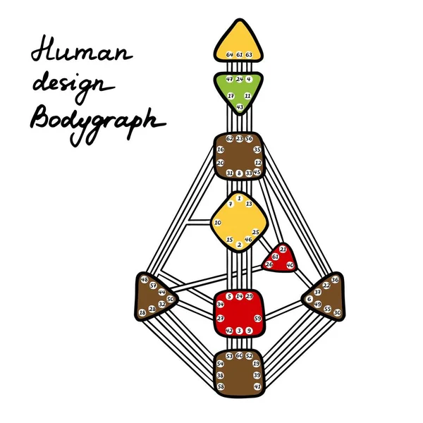 人类设计的体形 九个彩色能源中心 矢量说明 — 图库矢量图片