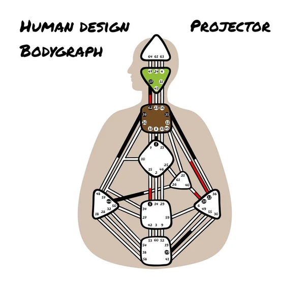 Projektor Human Design Bodygraph Neun Farbige Energiezentren Vektorillustration — Stockvektor