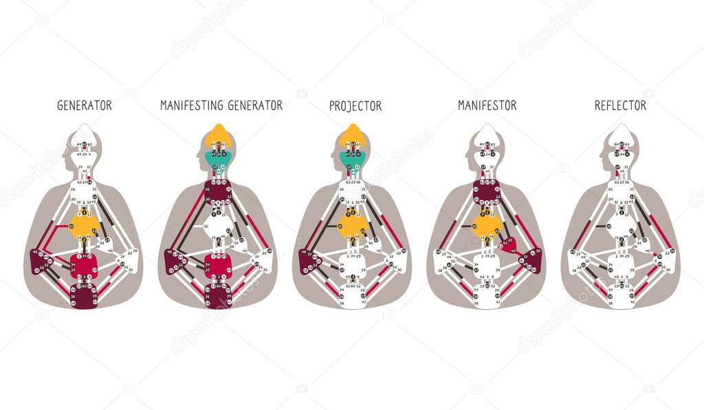 Generator Projector Manifestor Reflector. Five human design types.Human Design BodyGraph chart. Vector illustration.