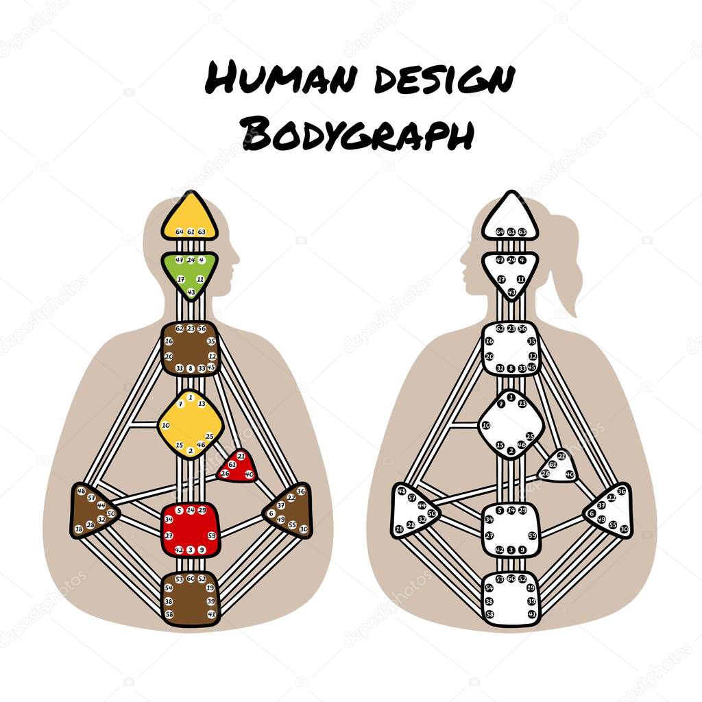 Human design bodygraph chart design. Vector isolated illustration. Nine energy centers