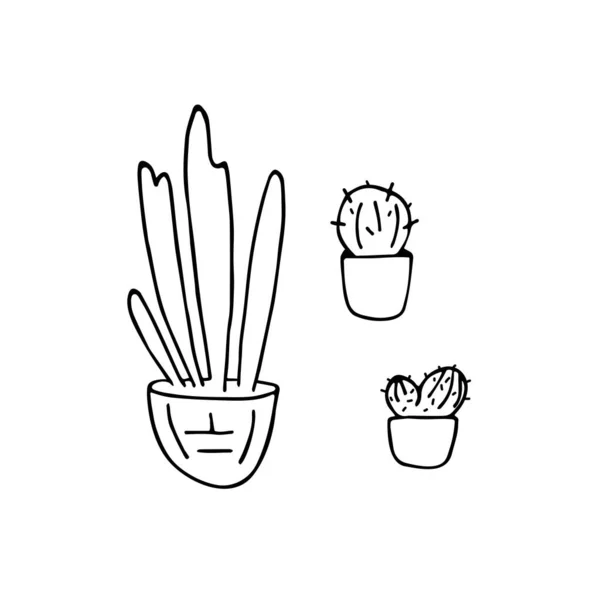 Plantes Maison Caniche Pots Dessinés Main Illustration Vectorielle — Image vectorielle