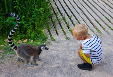 Küçük çocuk lemur görünüyor.