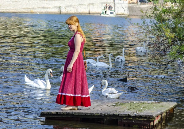 Stylized image, oil painting - a girl in a red dress is standing on a wooden pier, on the bank of the river, swans are swimming in the water